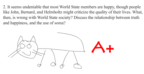 essayquestioncat
